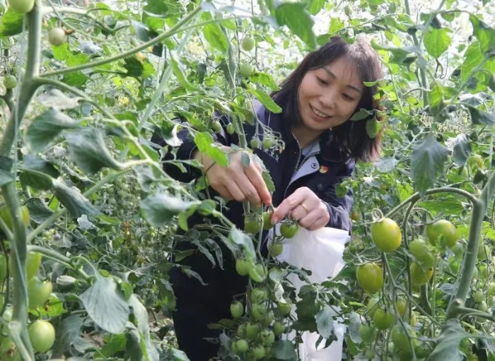 微信圖片_20250310095524